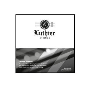 Cuerda Guitarra Eléctrica Luthier .017 Anti-Rust Coated