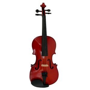 Violín 4/4 Gaudieri HD-V01