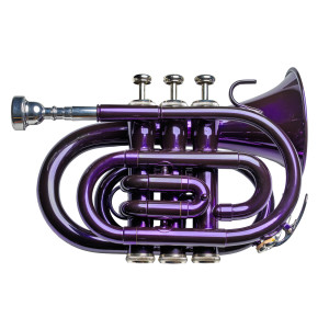 Trompeta  Pocket Taylor Collins TCPTR-13 PR Púrpura en Sib